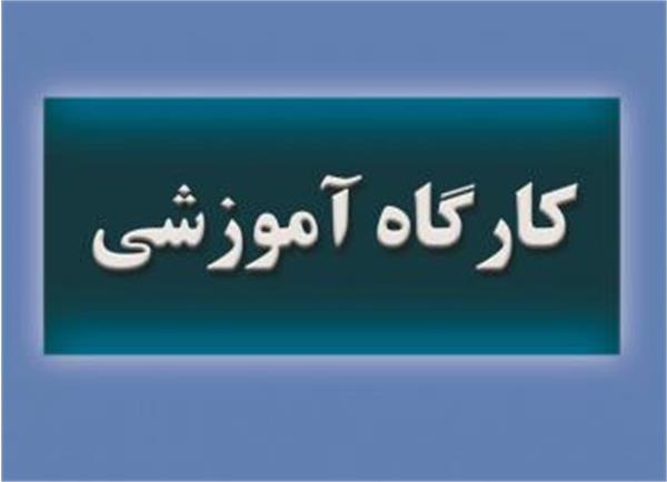 برگزاری کارگاه ادغام ارزش اجتماعی در حمکرانی پژوهش در 1404/10/21 دانشگاه کرمان