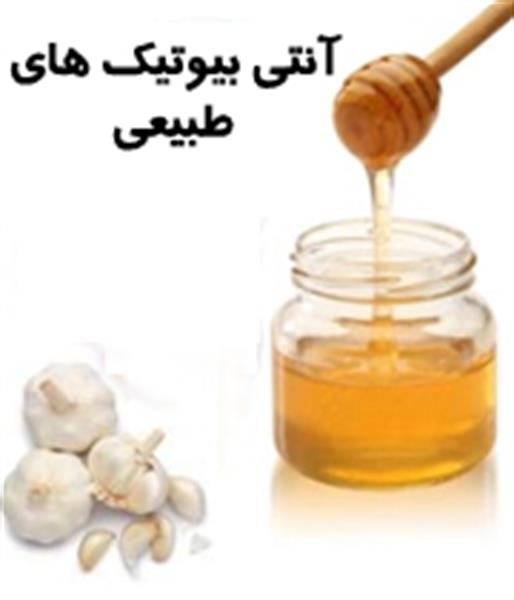 آنتی بیوتیک های طبیعی چه هستند؟