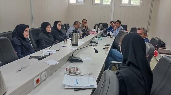پنجمین جلسه شورای پژوهش و فناوری دانشکده پزشکی در سال ۱۴۰۴