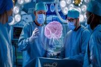 jarahe maghzo asaab.jpg