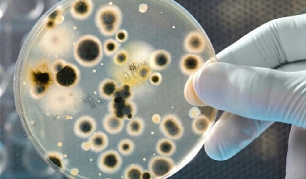 Mycology and Parasitology Department.pic