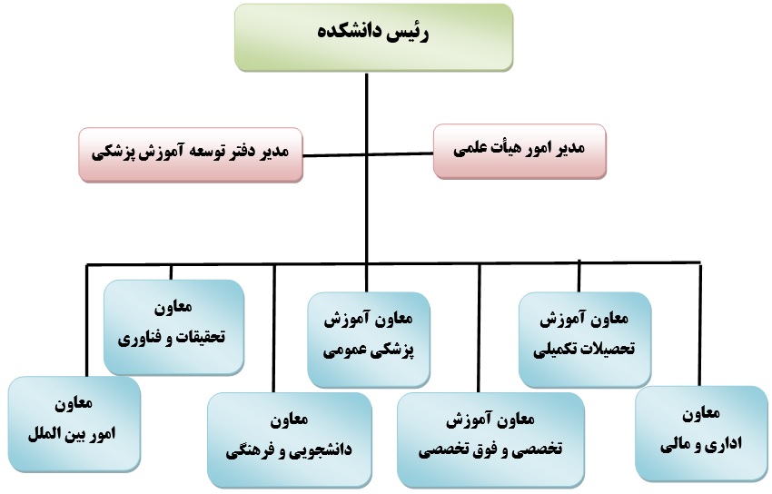 چارت سازمانی دانشکده و معاونت.jpg