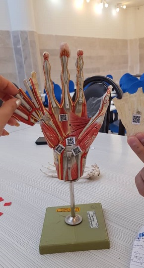 اولین مولاژ هوشمند سالن تشریح دانشکده پزشکی