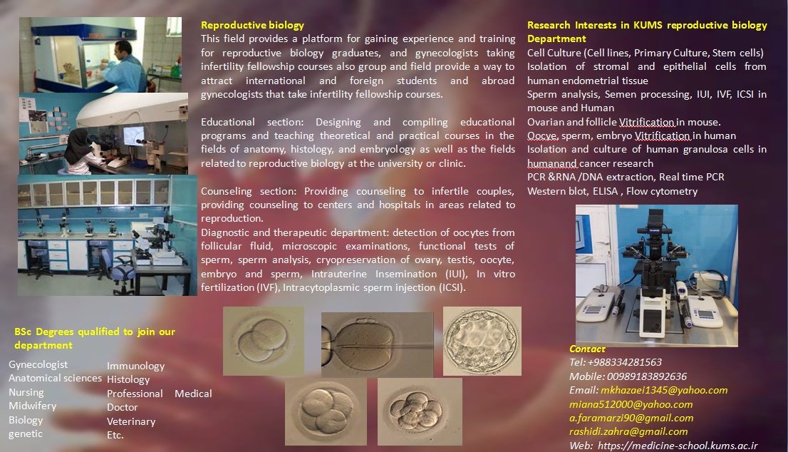 مهندسی بافت عکس2