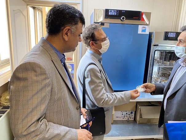 بازدید رییس محترم دانشکده پزشکی، جناب آقای دکتر پورنظری به همراه معاون اداری مالی دانشکده، جناب آقای دکتر سلطانی از گروه و آزمایشگاه بیوتکنولوژی پزشکی در خرداد ماه سال1401